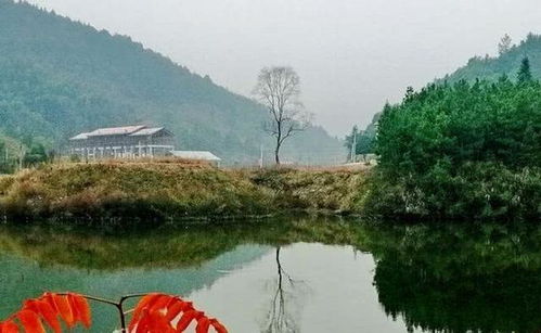 探访中国最美乡村，体验心灵与自然的和谐共生