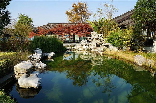 苏州园林建筑特色，苏州园林：江南水乡的诗画人生