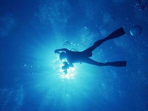 探秘海南海底世界：一次惊艳的潜水之旅