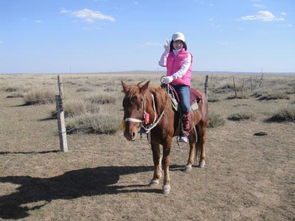 内蒙古草原骑马，体验别样的浪漫与刺激！