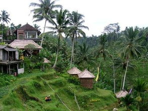 巴厘岛乡村：田园诗篇中的文化与自然之美