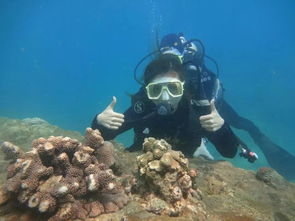 珊瑚礁潜水和浮潜区别