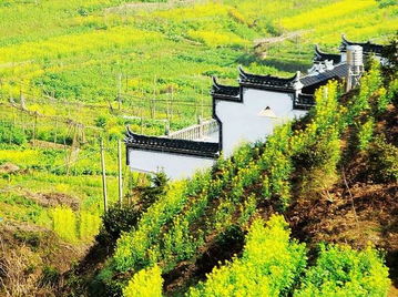 中国最美丽的乡村