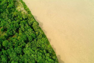 亚马逊雨林科普