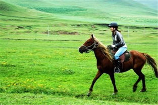 去内蒙古的草原骑马哪里比较好?