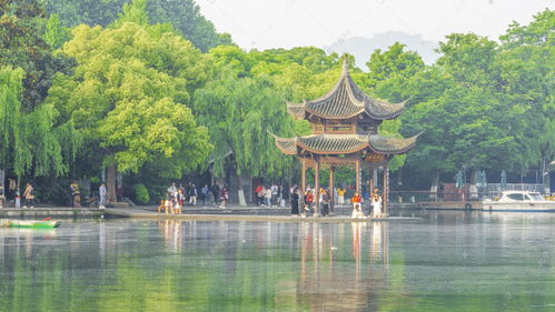 杭州西湖美景实拍